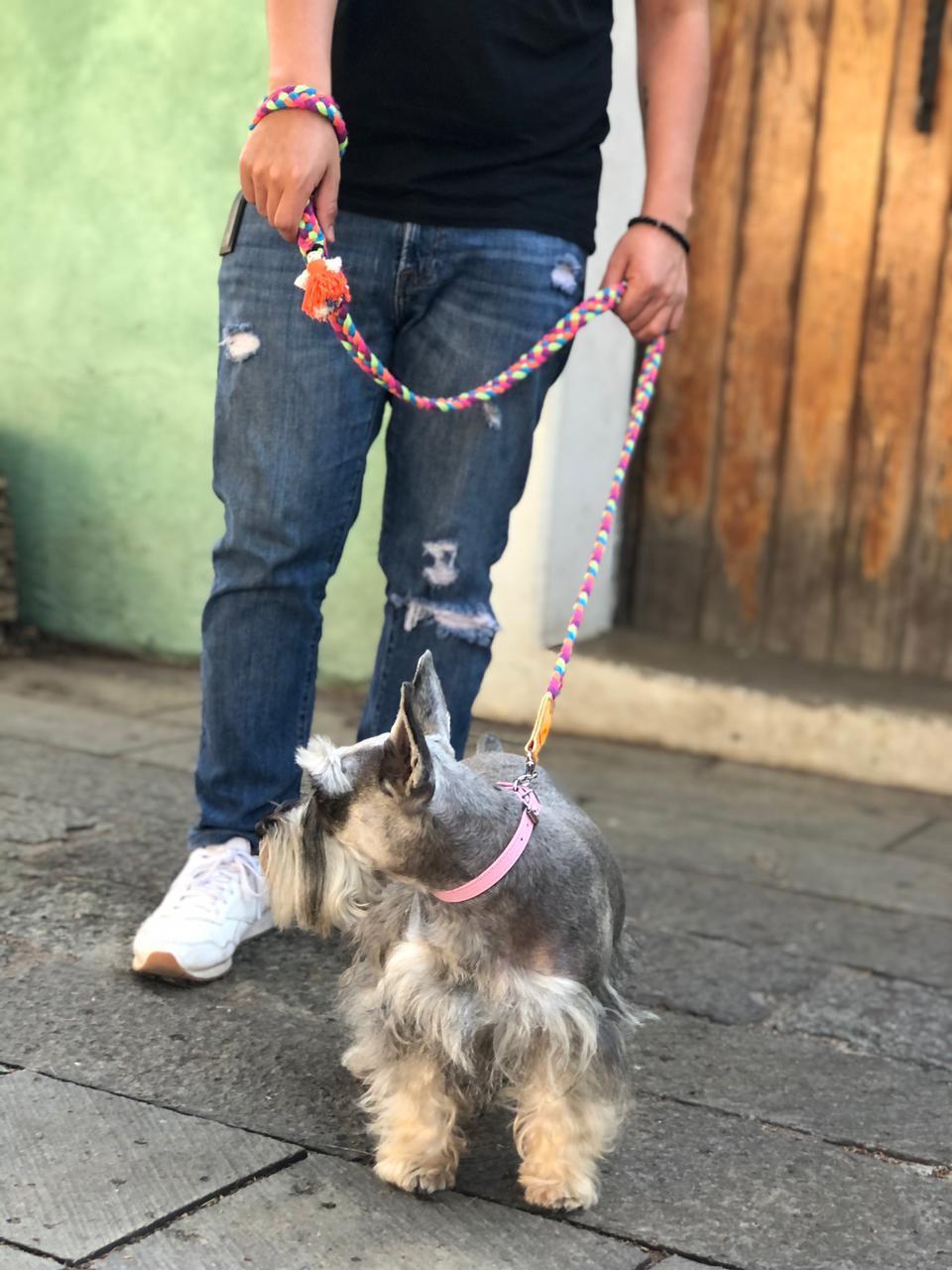 Braided Dog leash