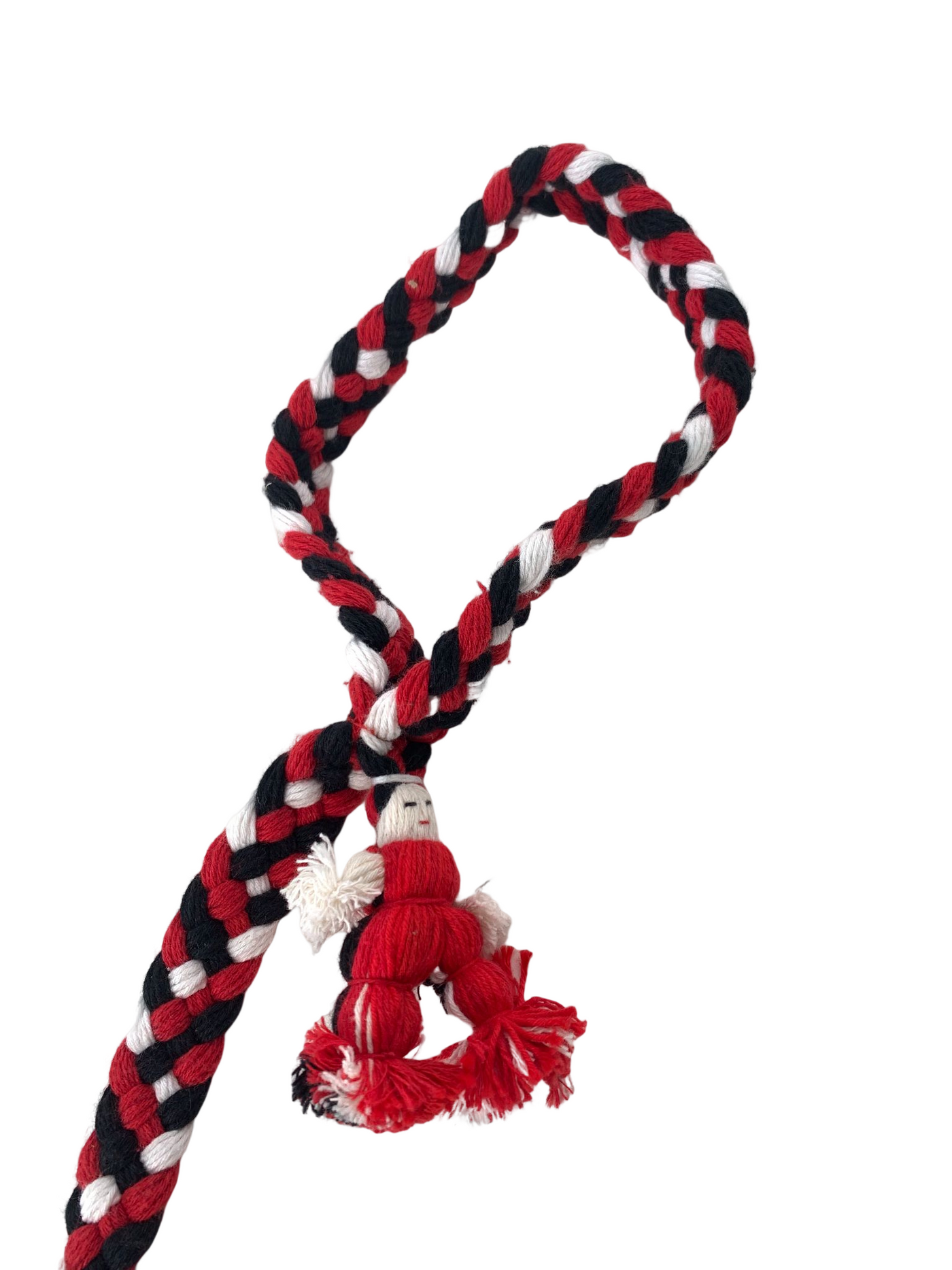 Braided Dog leash