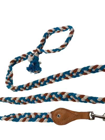 Braided Dog leash